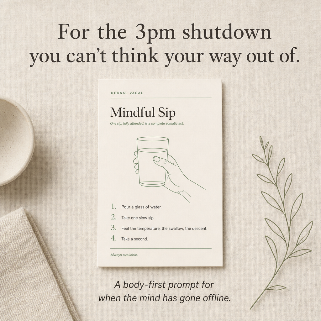 Somatic Coping Cards — 48 Body-First Techniques, Mapped to Your Nervous System State