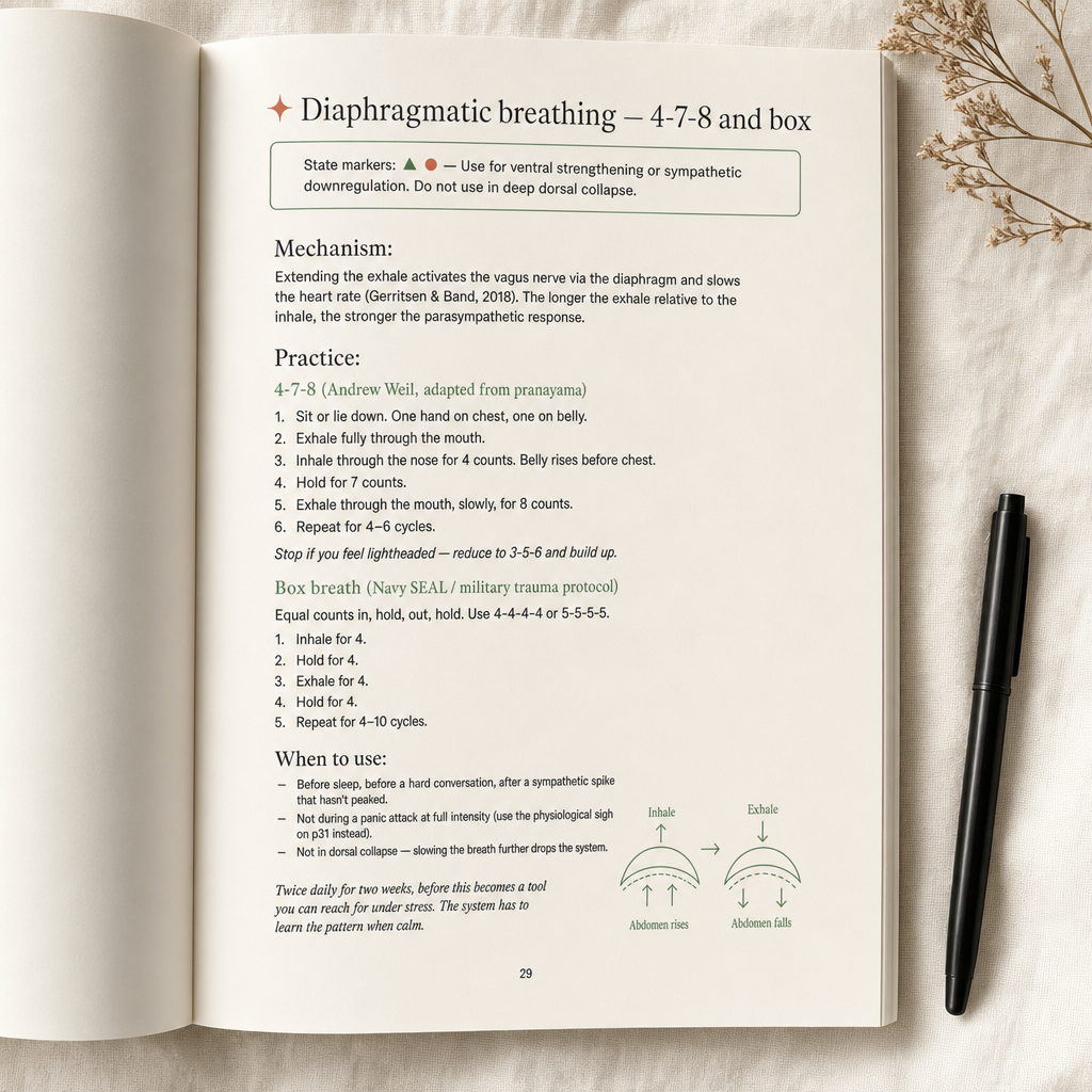 Nervous System Regulation Workbook: Map Your State, Then Choose the Tool