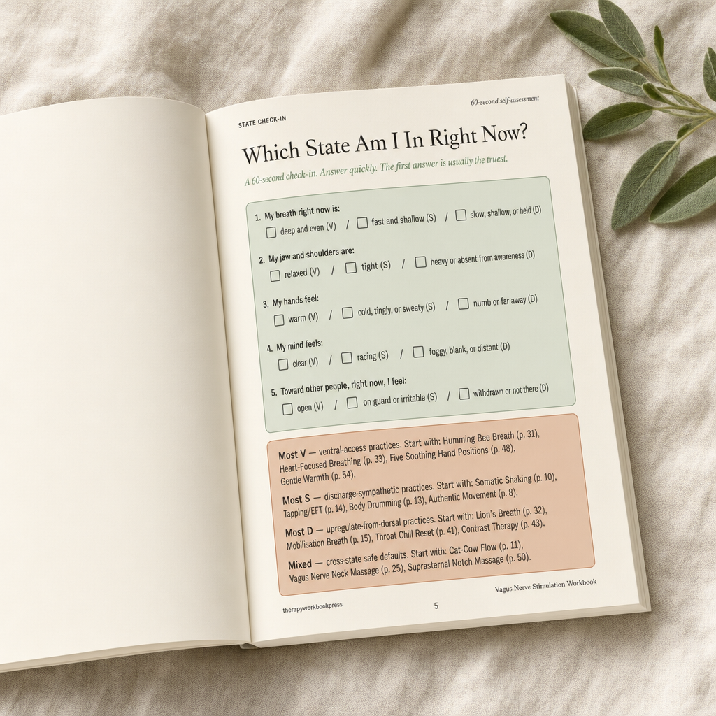 Vagus Nerve Stimulation Workbook: 41 Body-Based Exercises for Freeze, Shutdown, Anxiety & Wired-But-Tired States