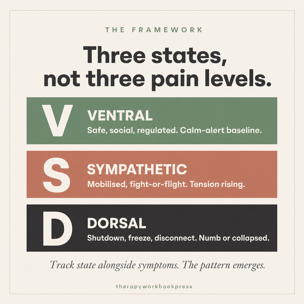 Chronic Pain & Nervous System Tracker — 10-Page Polyvagal Workbook (PDF)