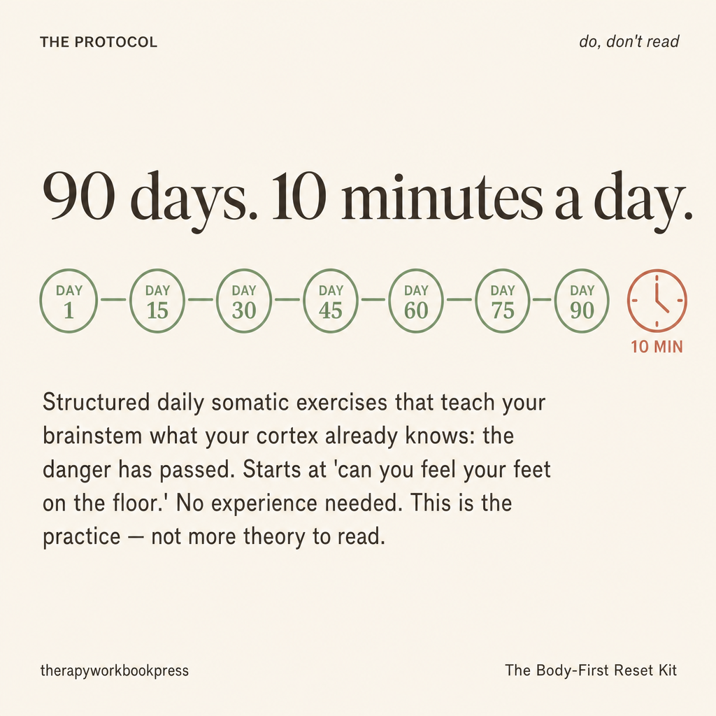 The Complete Somatic Nervous System Regulation Bundle.