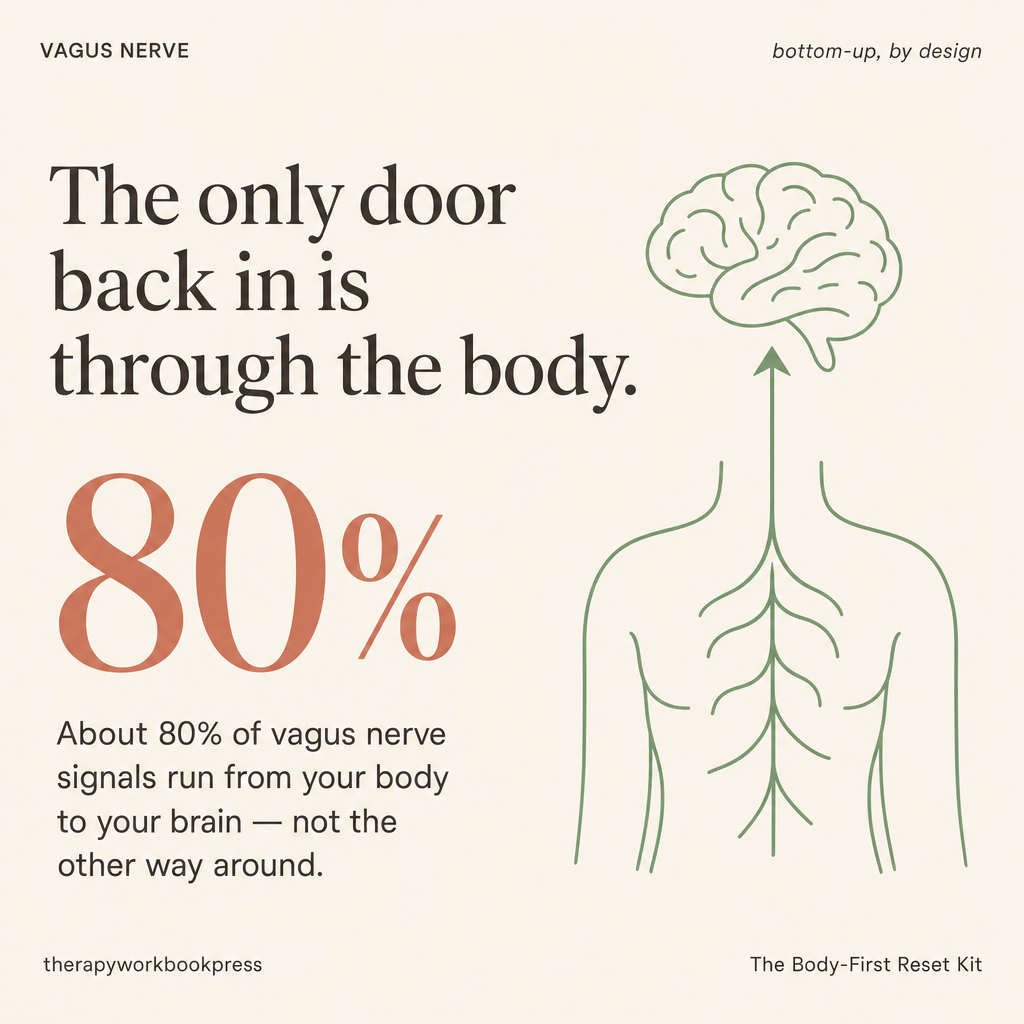 The Complete Somatic Nervous System Regulation Bundle.