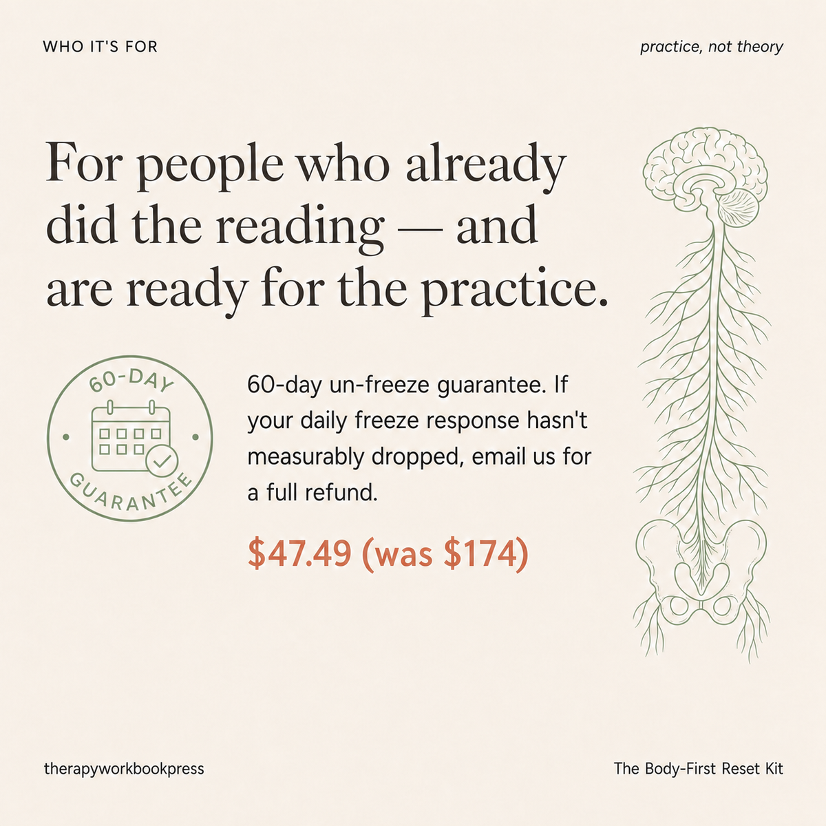 The Complete Somatic Nervous System Regulation Bundle.