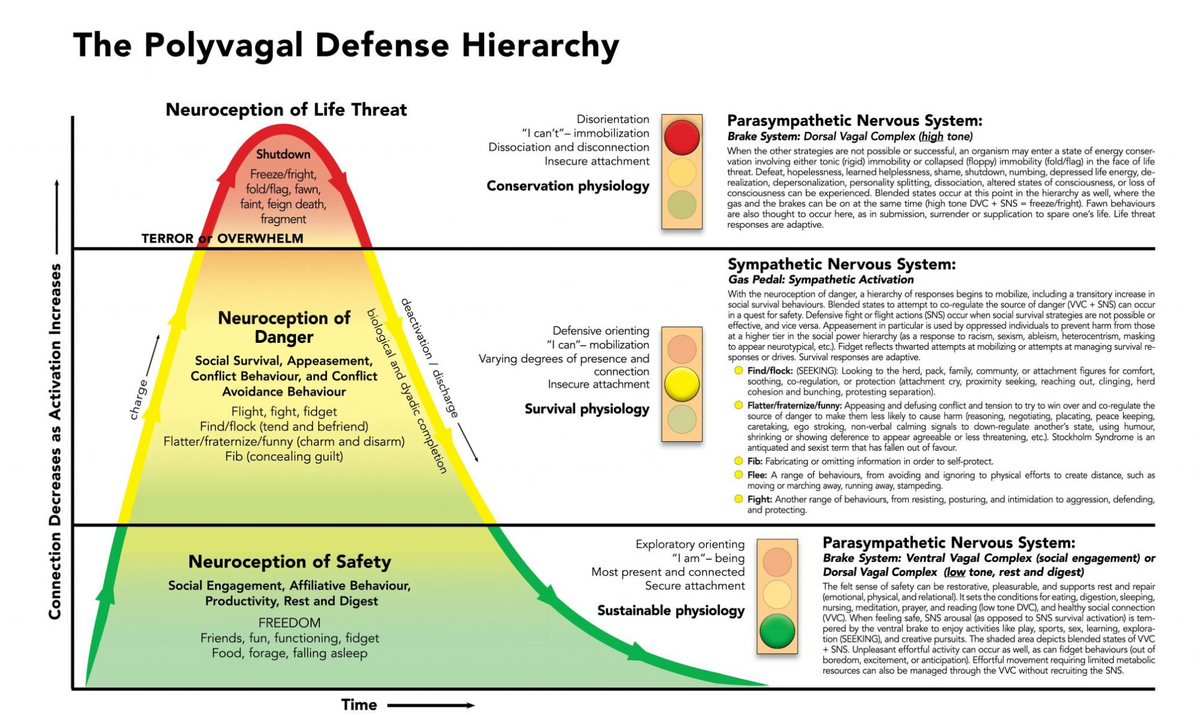 The Somatic "Body-First" Reset Kit (The 5-Minute Protocol to turn off "Fight or Flight")