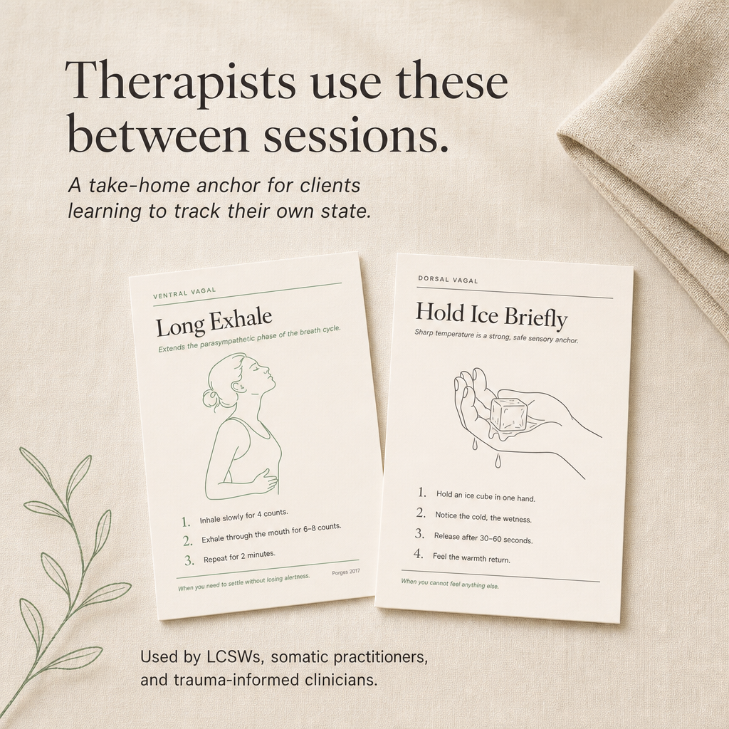 Somatic Coping Cards — 48 Body-First Techniques, Mapped to Your Nervous System State