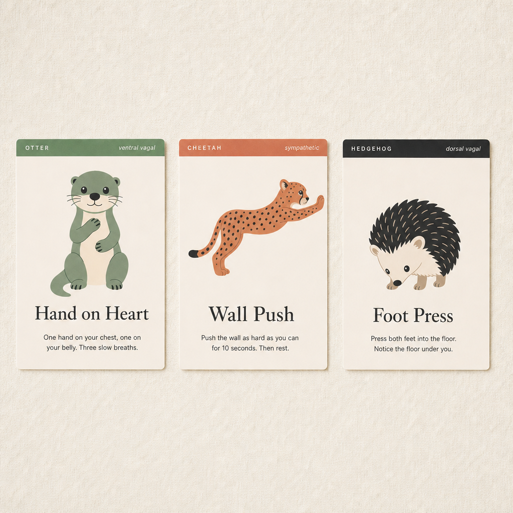 Three Friends Coping Cards — A Polyvagal-Informed Regulation Deck for Children (32 Cards)