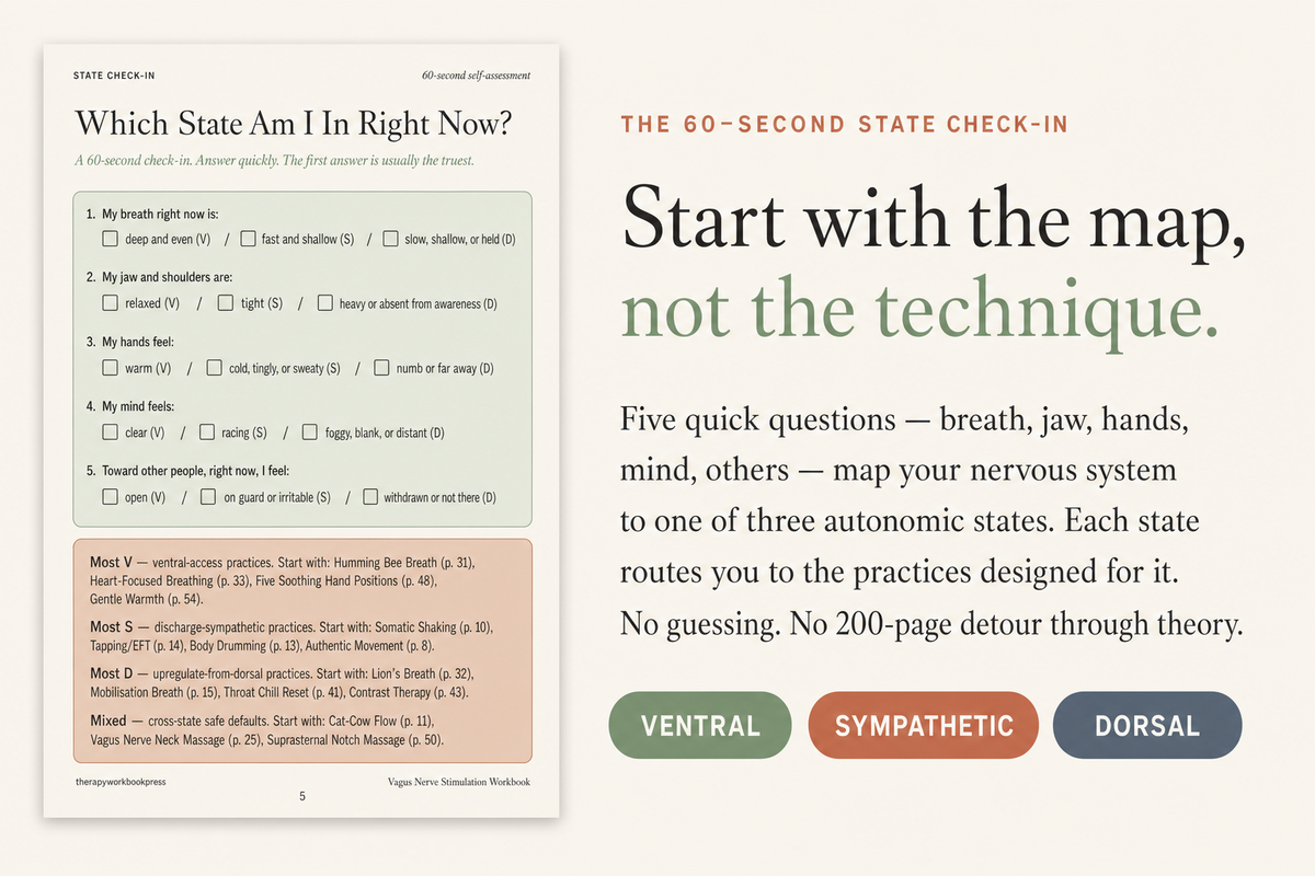 Vagus Nerve Stimulation Workbook: 41 Body-Based Exercises for Freeze, Shutdown, Anxiety & Wired-But-Tired States