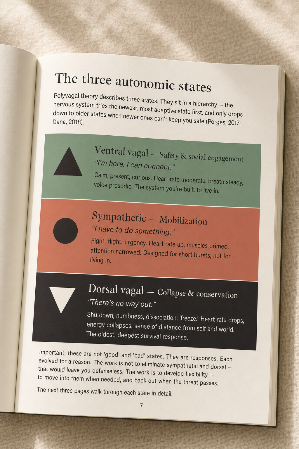 Nervous System Regulation Workbook: Map Your State, Then Choose the Tool