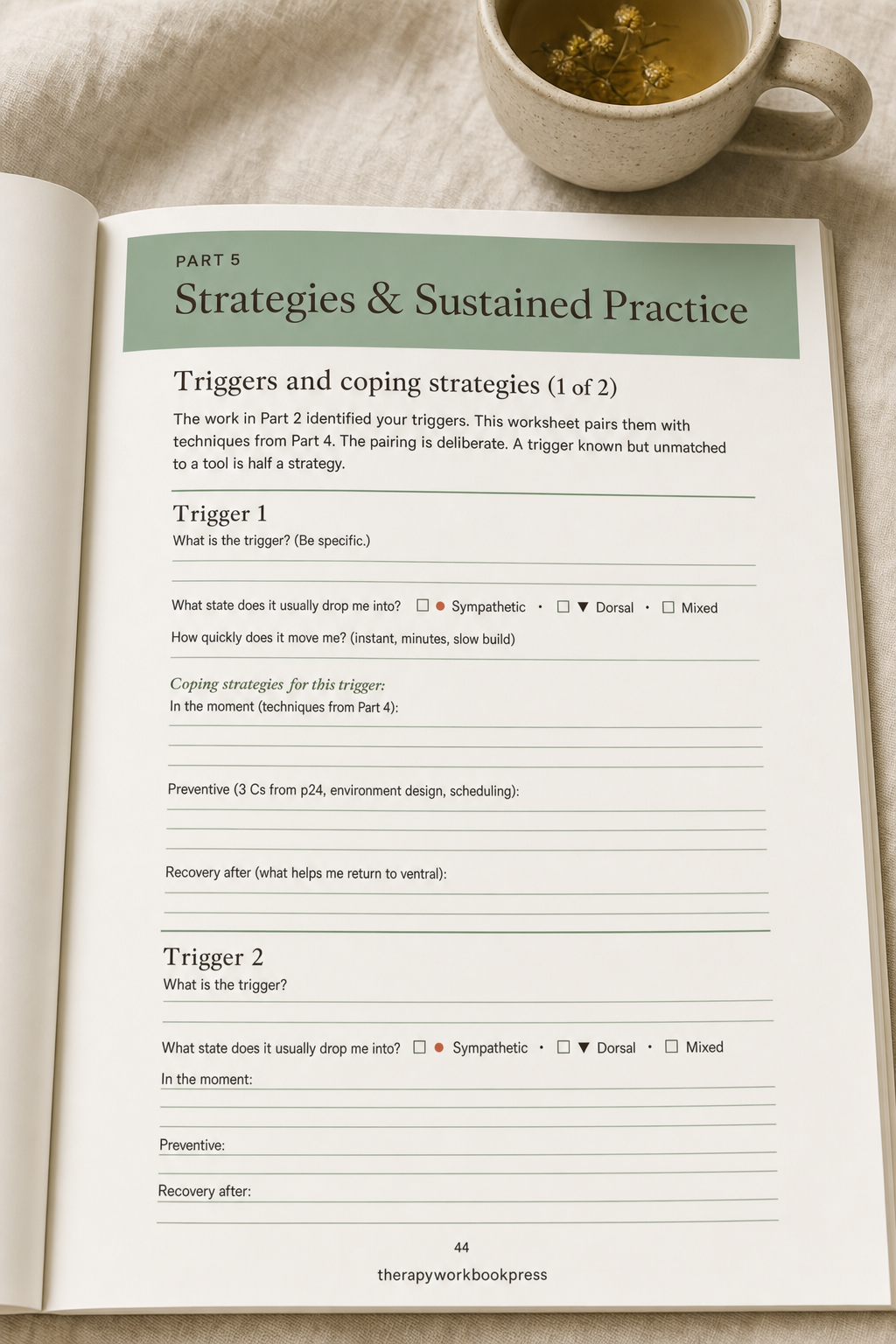 Nervous System Regulation Workbook: Map Your State, Then Choose the Tool