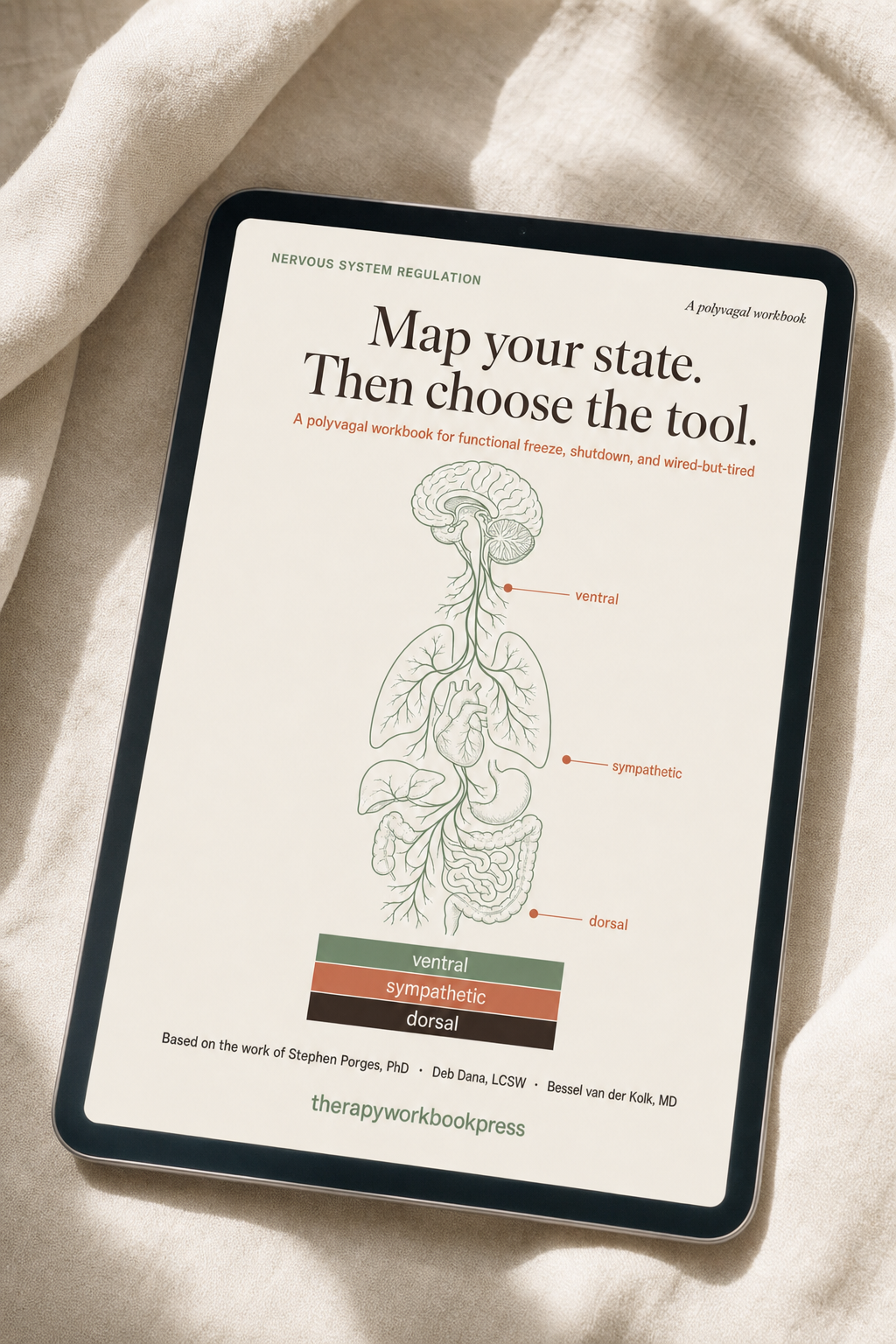 Nervous System Regulation Workbook: Map Your State, Then Choose the Tool